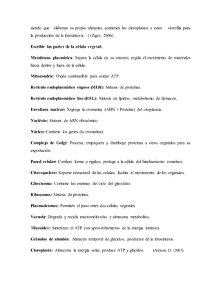 siendo que elaboran su propio alimento, contienen los cloroplastos y estos clorofila para
la producción de la fotosíntesis. ( (Ziger, 2006)
Escribir las partes de la célula vegetal:
Membrana plasmática: Separa la célula de su entorno; regula el movimiento de materiales
hacia dentro y fuera de la célula.
Mitocondria: Oxida combustible para oxidar ATP.
Retículo endoplasmático rugoso (RER): Síntesis de proteínas.
Retículo endoplasmático liso (REL): Síntesis de lípidos; metabolismo de fármacos.
Envoltura nuclear: Segrega la cromatina (ADN + Proteína) del citoplasma.
Nucléolo: Síntesis de ARN ribosómico.
Núcleo: Contiene los genes (la cromatina).
Complejo de Golgi: Procesa, empaqueta y distribuye proteínas a otros orgánulos para su
exportación.
Pared celular: Confiere forma y rigidez; protege a la célula del hinchamiento osmótico.
Citoesqueleto: Soporte estructural de las células; facilita el movimiento de los orgánulos.
Glioxisoma: Contiene los enzimas del ciclo del glioxilato.
Ribosomas: Síntesis de proteínas.
Plasmodesmos: Permiten el paso entre dos células vegetales.
Vacuola: Degrada y recicla macromoléculas y almacena metabolitos.
Tilacoides: Sintetizan el ATP con aprovechamiento de la energía lumínica.
Gránulos de almidón: Almacén temporal de glúcidos, productor de la fotosíntesis.
Cloroplasto: Almacena la energía solar, produce ATP y glúcidos. (Nelson, D. -2007).
 