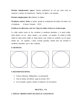Retículo endoplasmatico rugoso: Sistema membranoso de red que actúa como un
transporte y sistema de comunicación. Sintetiza los lípidos y las proteínas
Retículo endoplasmatico liso: Sintetiza los lípidos.
Membrana nuclear: Rodea al núcleo, permite la comunicación del interior del núcleo con
el citoplasma. (Ciencias Naturales 2010)
Establezca las diferencias entre los 2 tipos de células al observar al microscopio.
La célula vegetal consta de dos envolturas la membrana plasmática y la pared celular,
tienen plastos, son de mayor tamaño y sus vacuolas son grandes. En cambio la célula
animal no tienen pared celular no tienen plastos estas constan de centriolos son de menor
tamaño que las vegetales y tienen vacuolas pequeñas, además tiene una envoltura la
membrana plasmática que es fina y delicada.
8. GRÁFICOS:
9. RECOMENDACIONES:
 Colocar referencias bibliográficas en cada párrafo.
 Citar las fuentes del informe según las normas APA.
 Uso de mandil y guantes durante la realización de esta práctica.
PRACTICA N°6
1. TÍTULO: OBSERVACIÓN DE CÉLULAS SANGUÍNEAS
 