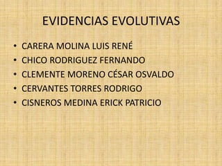 EVIDENCIAS EVOLUTIVAS
•   CARERA MOLINA LUIS RENÉ
•   CHICO RODRIGUEZ FERNANDO
•   CLEMENTE MORENO CÉSAR OSVALDO
•   CERVANTES TORRES RODRIGO
•   CISNEROS MEDINA ERICK PATRICIO
 