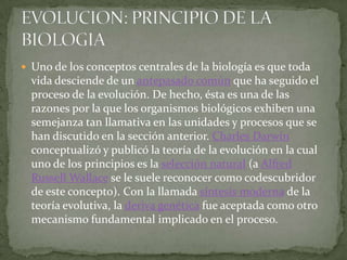 Uno de los conceptos centrales de la biología es que toda vida desciende de un antepasado común que ha seguido el proceso de la evolución. De hecho, ésta es una de las razones por la que los organismos biológicos exhiben una semejanza tan llamativa en las unidades y procesos que se han discutido en la sección anterior. Charles Darwin conceptualizó y publicó la teoría de la evolución en la cual uno de los principios es la selección natural (a Alfred Russell Wallace se le suele reconocer como codescubridor de este concepto). Con la llamada síntesis moderna de la teoría evolutiva, la deriva genética fue aceptada como otro mecanismo fundamental implicado en el proceso.EVOLUCION: PRINCIPIO DE LA BIOLOGIA
