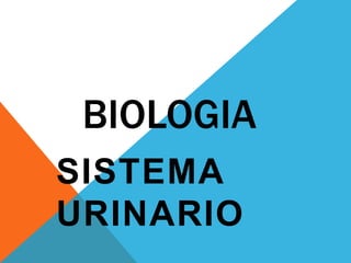 BIOLOGIA Sistema urinario 