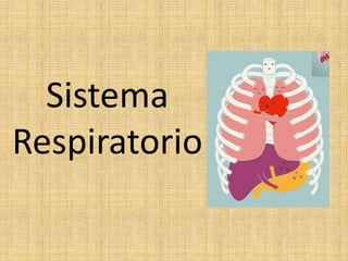 Sistema
Respiratorio
 