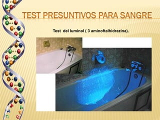 Test del luminol ( 3 aminoftalhidrazina).
 