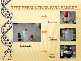 Benzidina




                Agua
                Destilada


Test de Adler



                Acido
                Acético
 