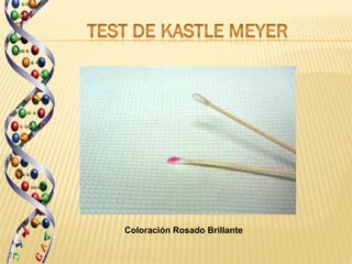 Coloración Rosado Brillante
 