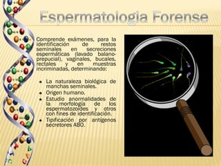    Comprende exámenes, para la
    identificación      de    restos
    seminales      en    secreciones
    espermáticas (lavado balano-
    prepucial), vaginales, bucales,
    rectales     y    en   muestras
    incriminadas, determinando:

     ♣   La naturaleza biológica de
         manchas seminales.
     ♣   Origen humano.
     ♣   Estudio anormalidades de
         la morfología        de los
         espermatozoides y otros
         con fines de identificación.
     ♣   Tipificación por antígenos
         secretores ABO.
 