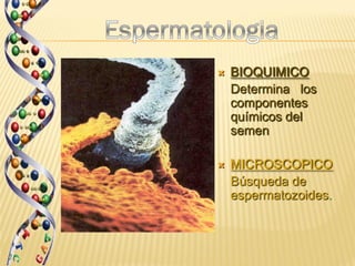    BIOQUIMICO
    Determina los
    componentes
    químicos del
    semen

   MICROSCOPICO
    Búsqueda de
    espermatozoides.
 