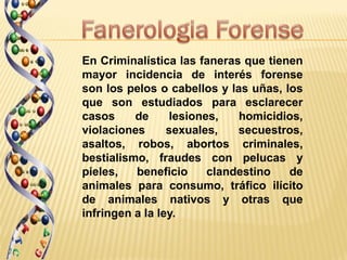 En Criminalística las faneras que tienen
mayor incidencia de interés forense
son los pelos o cabellos y las uñas, los
que son estudiados para esclarecer
casos     de      lesiones,   homicidios,
violaciones      sexuales,    secuestros,
asaltos, robos, abortos criminales,
bestialismo, fraudes con pelucas y
pieles,   beneficio      clandestino  de
animales para consumo, tráfico ilícito
de animales nativos y otras que
infringen a la ley.
 