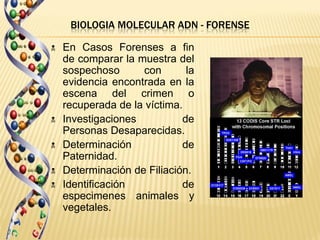 BIOLOGIA MOLECULAR ADN - FORENSE

   En Casos Forenses a fin
    de comparar la muestra del
    sospechoso      con       la
    evidencia encontrada en la
    escena del crimen o
    recuperada de la víctima.
   Investigaciones          de
    Personas Desaparecidas.
   Determinación            de
    Paternidad.
   Determinación de Filiación.
   Identificación           de
    especimenes animales y
    vegetales.
 