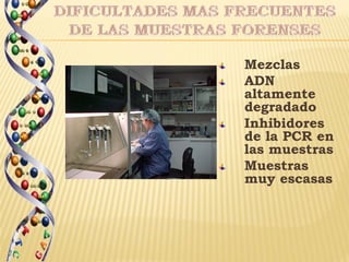 Mezclas
ADN
altamente
degradado
Inhibidores
de la PCR en
las muestras
Muestras
muy escasas
 
