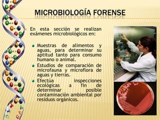 MICROBIOLOGÍA FORENSE
   En esta sección se realizan
    exámenes microbiológicos en:

      Muestras de alimentos y
      aguas, para determinar su
      aptitud tanto para consumo
      humano o animal.
      Estudios de comparación de
      microfauna y microflora de
      aguas y tierras.
      Efectúa          inspecciones
      ecológicas     a    fin     de
      determinar             posible
      contaminación ambiental por
      residuos orgánicos.
 