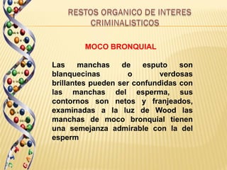 MOCO BRONQUIAL

Las     manchas    de   esputo    son
blanquecinas        o        verdosas
brillantes pueden ser confundidas con
las manchas del esperma, sus
contornos son netos y franjeados,
examinadas a la luz de Wood las
manchas de moco bronquial tienen
una semejanza admirable con la del
esperm
 