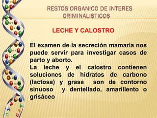 LECHE Y CALOSTRO

El examen de la secreción mamaria nos
puede servir para investigar casos de
parto y aborto.
La leche y el calostro contienen
soluciones de hidratos de carbono
(lactosa) y grasa    son de contorno
sinuoso y dentellado, amarillento o
grisáceo
 