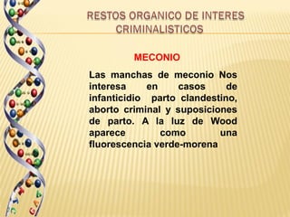 MECONIO
Las manchas de meconio Nos
interesa     en    casos     de
infanticidio parto clandestino,
aborto criminal y suposiciones
de parto. A la luz de Wood
aparece         como       una
fluorescencia verde-morena
 