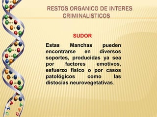 SUDOR
Estas     Manchas     pueden
encontrarse     en   diversos
soportes, producidas ya sea
por     factores    emotivos,
esfuerzo físico o por casos
patológicos      como      las
distocias neurovegetativas.
 