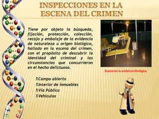 Tiene por objeto la búsqueda,
fijación, protección, colección,
recojo y embalaje de la evidencia
de naturaleza u origen biológico,
hallado en la escena del crimen,
con el propósito de descubrir la
identidad del criminal y las
circunstancias que concurrieron
en el hecho delictuoso.
                                    Buscando la evidencia Biológica

    Campo abierto
    Interior de inmuebles
    Vía Pública
    Vehículos
 