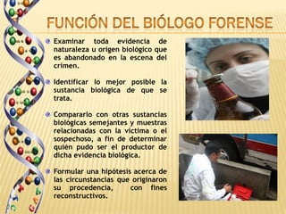 Examinar toda evidencia de
naturaleza u origen biológico que
es abandonado en la escena del
crimen.

Identificar lo mejor posible la
sustancia biológica de que se
trata.

Compararlo con otras sustancias
biológicas semejantes y muestras
relacionadas con la víctima o el
sospechoso, a fin de determinar
quién pudo ser el productor de
dicha evidencia biológica.

Formular una hipótesis acerca de
las circunstancias que originaron
su procedencia,       con fines
reconstructivos.
 
