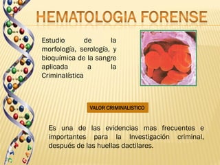 Estudio        de     la
morfología, serología, y
bioquímica de la sangre
aplicada        a     la
Criminalística



               VALOR CRIMINALISTICO


  Es una de las evidencias mas frecuentes e
  importantes para la Investigación criminal,
  después de las huellas dactilares.
 