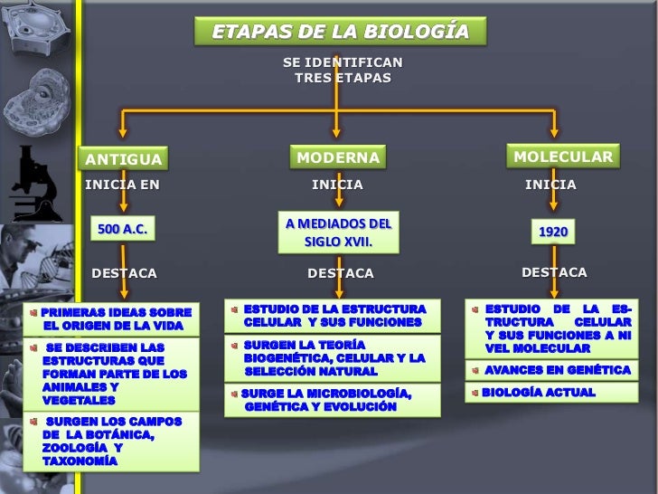 BIOLOGIA GENERAL