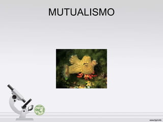 MUTUALISMO
 