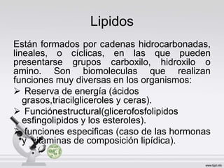 Lipidos
Están formados por cadenas hidrocarbonadas,
lineales, o cíclicas, en las que pueden
presentarse grupos carboxilo, hidroxilo o
amino. Son biomoleculas que realizan
funciones muy diversas en los organismos:
 Reserva de energía (ácidos
grasos,triacilgliceroles y ceras).
 Funciónestructural(glicerofosfolipidos
esfingolipidos y los esteroles).
 funciones especificas (caso de las hormonas
y vitaminas de composición lipídica).
 