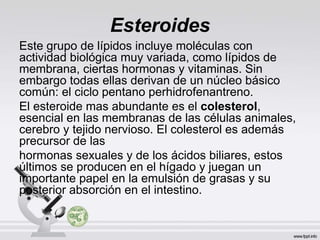 Esteroides
Este grupo de lípidos incluye moléculas con
actividad biológica muy variada, como lípidos de
membrana, ciertas hormonas y vitaminas. Sin
embargo todas ellas derivan de un núcleo básico
común: el ciclo pentano perhidrofenantreno.
El esteroide mas abundante es el colesterol,
esencial en las membranas de las células animales,
cerebro y tejido nervioso. El colesterol es además
precursor de las
hormonas sexuales y de los ácidos biliares, estos
últimos se producen en el hígado y juegan un
importante papel en la emulsión de grasas y su
posterior absorción en el intestino.
 