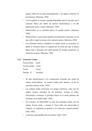 grupos sulfato de los glucosaminoglucanos y los grupos carboxilo de
las proteínas. (Sherman, 1994)
- Los tres grupos se ionizan y quedan disponibles para la reacción con el
colorante básico por medio de uniones electrostáticas; a un pH
ligeramente ácido o neutro. (Sherman, 1994)
- Hematoxilina no es colorante básico en sentido estricto. (Sherman,
1994)
- Hematoxilina se presta para aquellos procedimientos tintoriales no los
que a ella le sigue la eosina u otro colorante ácidos. (Sherman, 1994)
- Los colorantes básicos verdaderos no suelen usarse en secuencias en
donde el colorante básico es seguido por un ácido por que la anilina
básica tiene a disociarse del tejido durante los lavados posteriores en
soluciones acuosas. (Sherman, 1994)
3.2.2 Colorantes Ácidos
Fucsina ácida (rojo)
Azul de anilina (azul)
Eosina (rojo)
Naranja G (naranja)
- Se unen primariamente a los componentes texturales por medio de
enlaces electrostáticos de manera similar pero opuesta a la de los
colorantes básicos. (Otto, 1993).
- Las anilinas ácidas reaccionan con grupos cationicos, como son los
grupos Aminos ionizados de las proteínas. Aunque el enlace
electrostático constituye el principal factor en la unión primaria del
colorante con el tejido. (Otto, 1993).
- En la técnica de MALLORY se usan tres colorantes ácidos, azul de
anilina, fucsina ácida, y naranja G. Estos tiñen con selectividad el
colágeno, el citoplasma en general y los eritrocitos, respectivamente.
(Otto, 1993).
- La fucsina ácida también tiñe los núcleos. (Otto, 1993).
 