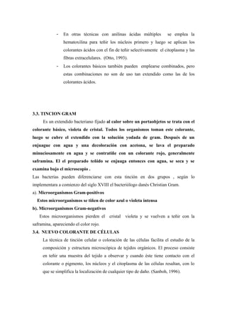 - En otras técnicas con anilinas ácidas múltiples se emplea la
hematoxilina para teñir los núcleos primero y luego se aplican los
colorantes ácidos con el fin de teñir selectivamente el citoplasma y las
fibras extracelulares. (Otto, 1993).
- Los colorantes básicos también pueden emplearse combinados, pero
estas combinaciones no son de uso tan extendido como las de los
colorantes ácidos.
3.3. TINCION GRAM
Es un extendido bacteriano fijado al calor sobre un portaobjetos se trata con el
colorante básico, violeta de cristal. Todos los organismos toman este colorante,
luego se cubre el extendido con la solución yodada de gram. Después de un
enjuague con agua y una decoloración con acetona, se lava el preparado
minuciosamente en agua y se contratiñe con un colorante rojo, generalmente
saframina. El el preparado teñido se enjuaga entonces con agua, se seca y se
examina bajo el microscopio .
Las bacterias pueden diferenciarse con esta tinción en dos grupos , según lo
implementara a comienzo del siglo XVIII el bacteriólogo danés Christian Gram.
a). Microorganismos Gram-positivos
Estos microorganismos se tiñen de color azul o violeta intensa
b). Microorganismos Gram-negativos
Estos microorganismos pierden el cristal violeta y se vuelven a teñir con la
saframina, apareciendo el color rojo.
3.4. NUEVO COLORANTE DE CÉLULAS
La técnica de tinción celular o coloración de las células facilita el estudio de la
composición y estructura microscópica de tejidos orgánicos. El proceso consiste
en teñir una muestra del tejido a observar y cuando éste tiene contacto con el
colorante o pigmento, los núcleos y el citoplasma de las células resaltan, con lo
que se simplifica la localización de cualquier tipo de daño. (Sanboh, 1996).
 