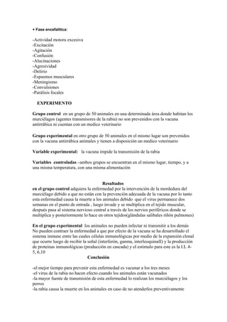 + Fase encefalítica:
-Actividad motora excesiva
-Excitación
-Agitación
-Confusión
-Alucinaciones
-Agresividad
-Delirio
-Espasmos musculares
-Meningismo
-Convulsiones
-Parálisis focales
EXPERIMENTO
Grupo control en un grupo de 50 animales en una determinada área donde habitan los
murciélagos (agentes transmisores de la rabia) no son prevenidos con la vacuna
antirrábica ni cuentan con un medico veterinario
Grupo experimental en otro grupo de 50 animales en el mismo lugar son prevenidos
con la vacuna antirrábica anímales y tienen a disposición un medico veterinario
Variable experimental: la vacuna impide la transmisión de la rabia
Variables controladas –ambos grupos se encuentran en el mismo lugar, tiempo, y a
una misma temperatura, con una misma alimentación
Resultados
en el grupo control adquiera la enfermedad por la intervención de la mordedura del
murciélago debido a que no están con la prevención adecuada de la vacuna por lo tanto
esta enfermedad causa la muerte a los animales debido que el virus permanece dos
semanas en el punto de entrada , luego invade y se multiplica en el tejido muscular,
después pasa al sistema nervioso central a través de los nervios periféricos donde se
multiplica y posteriormente lo hace en otros tejidos(glándulas salibales riñón pulmones)
En el grupo experimental los animales no pueden infectar ni transmitir a los demás
No pueden contraer la enfermedad a que por efecto de la vacuna se ha desarrollado el
sistema inmune entre las cuales células inmunológicas por medio de la expansión clonal
que ocurre luego de recibir la señal (interferón, ganma, interleoquinaII) y la producción
de proteínas inmunológicas (producción en cascada) y el estimulo para este es la I.L 4-
5, 6,10
Conclusión
-el mejor tiempo para prevenir esta enfermedad es vacunar a los tres meses
-el virus de la rabia no hacen efecto cuando los animales están vacunados
-la mayor fuente de transmisión de esta enfermedad lo realizan los murciélagos y los
perros
-la rabia causa la muerte en los animales en caso de no atenderlos preventivamente
 
