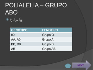 POLIALELIA – GRUPO
ABO
 i0   ,IA, IB

   GENOTIPO      FENOTIPO
   00            Grupo O
   AA, A0        Grupo A
   BB, B0        Grupo B
   AB            Grupo AB




                            NEXT
 