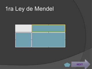 1ra Ley de Mendel


         A     A
   a     Aa    Aa
   a     Aa    Aa


                    NEXT
 