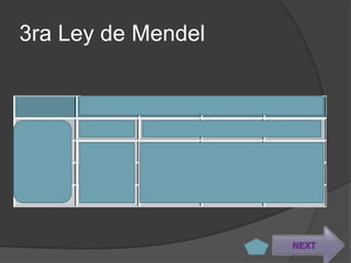 3ra Ley de Mendel


     AB     Ab     aB     ab
AB   AABB   AABb   AaBB   AaBb
Ab   AABb   AAbb   AbBb   Aabb
aB   AaBB   AaBb   aaBB   aaBb
ab   AaBb   Aabb   aaBb   aabb


                            NEXT
 