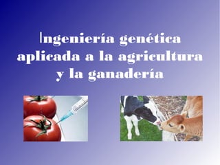 Ingeniería genética
aplicada a la agricultura
y la ganadería
 
