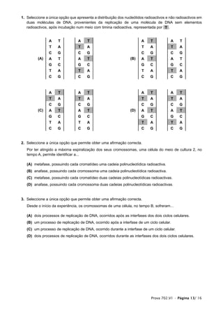 1. Seleccione a única opção que apresenta a distribuição dos nucleótidos radioactivos e não radioactivos em
duas moléculas de DNA, provenientes da replicação de uma molécula de DNA sem elementos
radioactivos, após incubação num meio com timina radioactiva, representada por .
2. Seleccione a única opção que permite obter uma afirmação correcta.
Por ter atingido a máxima espiralização dos seus cromossomas, uma célula do meio de cultura 2, no
tempo A, permite identificar a...
(A) metafase, possuindo cada cromatídeo uma cadeia polinucleotídica radioactiva.
(B) anafase, possuindo cada cromossoma uma cadeia polinucleotídica radioactiva.
(C) metafase, possuindo cada cromatídeo duas cadeias polinucleotídicas radioactivas.
(D) anafase, possuindo cada cromossoma duas cadeias polinucleotídicas radioactivas.
3. Seleccione a única opção que permite obter uma afirmação correcta.
Desde o início da experiência, os cromossomas de uma célula, no tempo B, sofreram...
(A) dois processos de replicação de DNA, ocorridos após as interfases dos dois ciclos celulares.
(B) um processo de replicação de DNA, ocorrido após a interfase de um ciclo celular.
(C) um processo de replicação de DNA, ocorrido durante a interfase de um ciclo celular.
(D) dois processos de replicação de DNA, ocorridos durante as interfases dos dois ciclos celulares.
A T
T A
C G
A T
G C
T A
C G
A T
T A
C G
A T
G C
T A
C G
A T
T A
C G
A T
G C
T A
C G
A T
T A
C G
A T
G C
T A
C G
(A) (B)
A T
T A
C G
A T
G C
T A
C G
A T
T A
C G
A T
G C
T A
C G
A T
T A
C G
A T
G C
T A
C G
A T
T A
C G
A T
G C
T A
C G
(C) (D)
T
Prova 702.V1 • Página 13/ 16
 