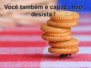 Você também é capaz...não
        desista !
 