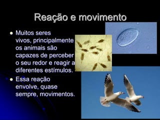 Reação e movimento
   Muitos seres
    vivos, principalmente
    os animais são
    capazes de perceber
    o seu redor e reagir a
    diferentes estímulos.
   Essa reação
    envolve, quase
    sempre, movimentos.
 