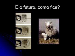 E o futuro, como fica?
 