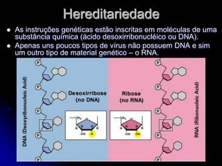 Hereditariedade
   As instruções genéticas estão inscritas em moléculas de uma
    substância química (ácido desoxirribonucléico ou DNA).
   Apenas uns poucos tipos de vírus não possuem DNA e sim
    um outro tipo de material genético – o RNA.
 