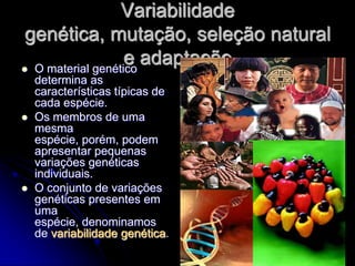 Variabilidade
genética, mutação, seleção natural
                   e adaptação
 O material genético
    determina as
    características típicas de
    cada espécie.
   Os membros de uma
    mesma
    espécie, porém, podem
    apresentar pequenas
    variações genéticas
    individuais.
   O conjunto de variações
    genéticas presentes em
    uma
    espécie, denominamos
    de variabilidade genética.
 