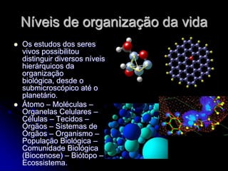 Níveis de organização da vida
   Os estudos dos seres
    vivos possibilitou
    distinguir diversos níveis
    hierárquicos da
    organização
    biológica, desde o
    submicroscópico até o
    planetário.
   Átomo – Moléculas –
    Organelas Celulares –
    Células – Tecidos –
    Órgãos – Sistemas de
    Órgãos – Organismo –
    População Biológica –
    Comunidade Biológica
    (Biocenose) – Biótopo –
    Ecossistema.
 