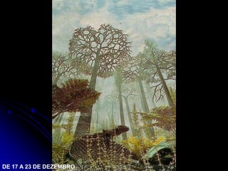 DE 17 A 23 DE DEZEMBRO
 