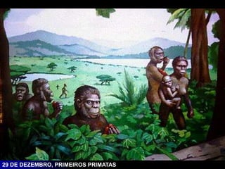29 DE DEZEMBRO, PRIMEIROS PRIMATAS
 