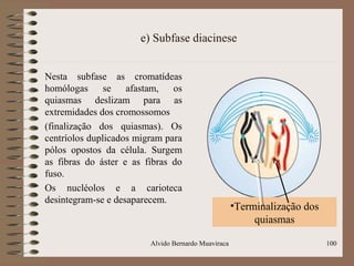 e) Subfase diacinese
Nesta subfase as cromatídeas
homólogas se afastam, os
quiasmas deslizam para as
extremidades dos cromossomos
(finalização dos quiasmas). Os
centríolos duplicados migram para
pólos opostos da célula. Surgem
as fibras do áster e as fibras do
fuso.
Os nucléolos e a carioteca
desintegram-se e desaparecem.
Alvido Bernardo Muaviraca 100
•Terminalização dos
quiasmas
 
