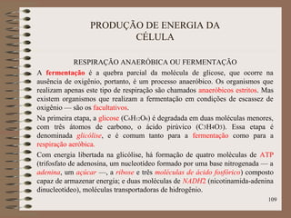 PRODUÇÃO DE ENERGIA DA
CÉLULA
RESPIRAÇÃO ANAERÓBICA OU FERMENTAÇÃO
A fermentação é a quebra parcial da molécula de glicose, que ocorre na
ausência de oxigênio, portanto, é um processo anaeróbico. Os organismos que
realizam apenas este tipo de respiração são chamados anaeróbicos estritos. Mas
existem organismos que realizam a fermentação em condições de escassez de
oxigênio — são os facultativos.
Na primeira etapa, a glicose (C6H12O6) é degradada em duas moléculas menores,
com três átomos de carbono, o ácido pirúvico (C3H4O3). Essa etapa é
denominada glicólise, e é comum tanto para a fermentação como para a
respiração aeróbica.
Com energia libertada na glicólise, há formação de quatro moléculas de ATP
(trifosfato de adenosina, um nucleotídeo formado por uma base nitrogenada — a
adenina, um açúcar —, a ribose e três moléculas de ácido fosfórico) composto
capaz de armazenar energia; e duas moléculas de NADH2 (nicotinamida-adenina
dinucleotídeo), moléculas transportadoras de hidrogênio.
109
 