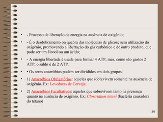 • - Processo de liberação de energia na ausência de oxigênio;
• - É o desdobramento ou quebra das moléculas de glicose sem utilização do
oxigênio, promovendo a libertação do gás carbônico e de outro produto, que
pode ser um álcool ou um ácido;
• - A energia libertada é usada para formar 4 ATP, mas, como são gastos 2
ATP, o saldo é de 2 ATP.
• • Os seres anaeróbios podem ser divididos em dois grupos:
• 1) Anaeróbios Obrigatórios: aqueles que sobrevivem somente na ausência de
oxigênio. Ex: Leveduras de Cerveja;
• 2) Anaeróbios Facultativos: aqueles que sobrevivem tanto na presença
quanto na ausência de oxigênio. Ex: Clostridium tetani (bactéria causadora
do tétano)
110
 