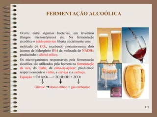 FERMENTAÇÃO ALCOÓLICA
Ocorre entre algumas bactérias, em leveduras
(fungos microscópicos) etc. Na fermentação
alcoólica o ácido pirúvico liberta inicialmente uma
molécula de CO2, recebendo posteriormente dois
átomos de hidrogênio (H2) da molécula de NADH2,
produzindo o álcool etílico.
Os microrganismos responsáveis pela fermentação
alcoólica são utilizados pelo homem na fermentação
da uva, do malte, da cana-de-açúcar, produzindo
respectivamente o vinho, a cerveja e a cachaça.
Equação = C6H12O6 —> 2C2H5OH + 2CO2
Glicose ➔álcool etílico + gás carbônico
112
 