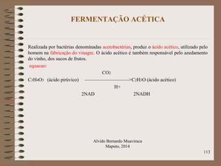 FERMENTAÇÃO ACÉTICA
Realizada por bactérias denominadas acetobactérias, produz o ácido acético, utilizado pelo
homem na fabricação do vinagre. O ácido acético é também responsável pelo azedamento
do vinho, dos sucos de frutos.
equacao:
CO2
C3H4O3 (ácido pirúvico) —————————>C2H3O (ácido acético)
H+
2NAD 2NADH
Alvido Bernardo Muaviraca
Maputo, 2014
113
 