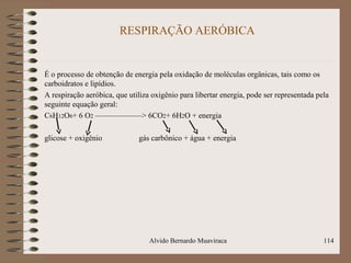 RESPIRAÇÃO AERÓBICA
É o processo de obtenção de energia pela oxidação de moléculas orgânicas, tais como os
carboidratos e lipídios.
A respiração aeróbica, que utiliza oxigênio para libertar energia, pode ser representada pela
seguinte equação geral:
C6H12O6+ 6 O2 ——————> 6CO2+ 6H2O + energia
glicose + oxigênio gás carbônico + água + energia
Alvido Bernardo Muaviraca 114
 