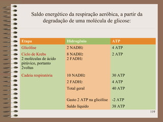 Saldo energético da respiração aeróbica, a partir da
degradação de uma molécula de glicose:
Etapa Hidrogênio ATP
Glicólise 2 NADH2 4 ATP
Ciclo de Krebs
2 moléculas de ácido
pirúvico, portanto
2voltas
8 NADH2
2 FADH2
2 ATP
Cadeia respiratória 10 NADH2 30 ATP
2 FADH2 4 ATP
Total geral 40 ATP
Gasto 2 ATP na glicólise -2 ATP
Saldo líquido 38 ATP
119
 
