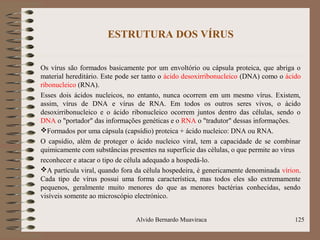 ESTRUTURA DOS VÍRUS
Os vírus são formados basicamente por um envoltório ou cápsula proteica, que abriga o
material hereditário. Este pode ser tanto o ácido desoxirribonucleico (DNA) como o ácido
ribonucleico (RNA).
Esses dois ácidos nucleicos, no entanto, nunca ocorrem em um mesmo vírus. Existem,
assim, vírus de DNA e vírus de RNA. Em todos os outros seres vivos, o ácido
desoxirribonucleico e o ácido ribonucleico ocorrem juntos dentro das células, sendo o
DNA o "portador" das informações genéticas e o RNA o "tradutor" dessas informações.
Formados por uma cápsula (capsídio) proteica + ácido nucleico: DNA ou RNA.
O capsídio, além de proteger o ácido nucleico viral, tem a capacidade de se combinar
quimicamente com substâncias presentes na superfície das células, o que permite ao vírus
reconhecer e atacar o tipo de célula adequado a hospedá-lo.
A partícula viral, quando fora da célula hospedeira, é genericamente denominada vírion.
Cada tipo de vírus possui uma forma característica, mas todos eles são extremamente
pequenos, geralmente muito menores do que as menores bactérias conhecidas, sendo
visíveis somente ao microscópio electrónico.
Alvido Bernardo Muaviraca 125
 